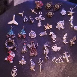 One lot of miscellaneous Charms.